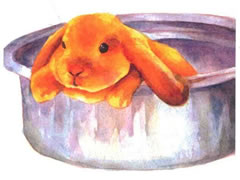 忧伤的兔子水彩画绘制步骤图示