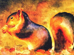 爱存粮食的松鼠水彩画绘制步骤图示