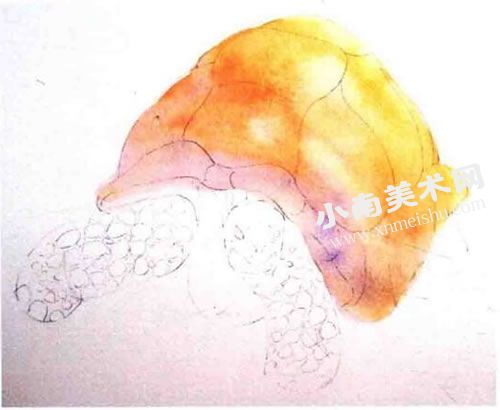 慢悠悠的乌龟水彩画绘制步骤图示03