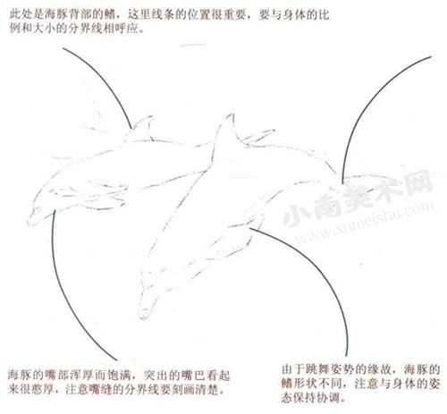 跳舞的海豚水彩画绘制步骤图示02