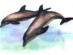 跳舞的海豚水彩画绘制步骤图示