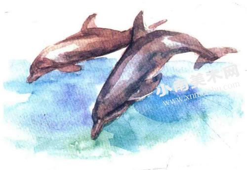 跳舞的海豚水彩画绘制步骤图示05