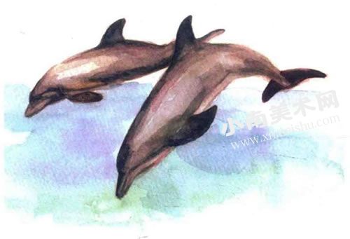 跳舞的海豚水彩画绘制步骤图示07