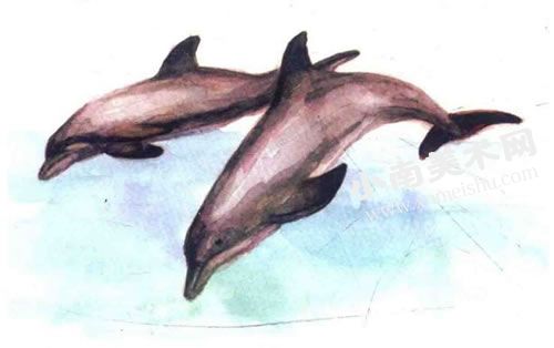 跳舞的海豚水彩画绘制步骤图示08