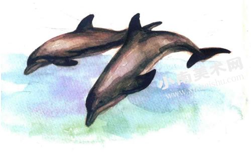 跳舞的海豚水彩画绘制步骤图示09