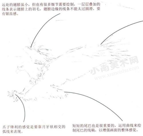 捕猎的老鹰水彩画绘制步骤图示02