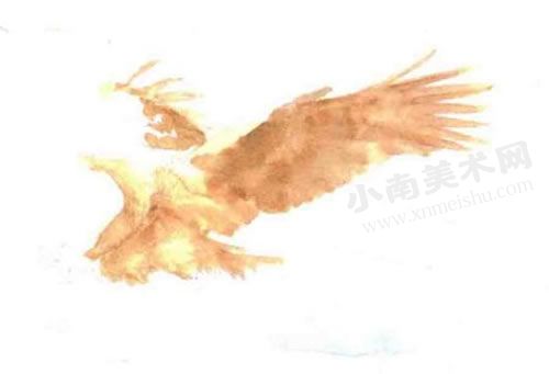 捕猎的老鹰水彩画绘制步骤图示03