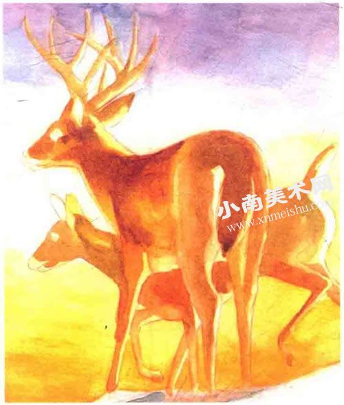 夕阳下的麋鹿水彩画绘制步骤图示03