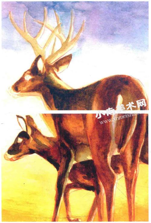 夕阳下的麋鹿水彩画绘制步骤图示05