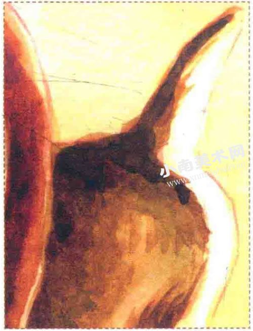 夕阳下的麋鹿水彩画绘制步骤图示06