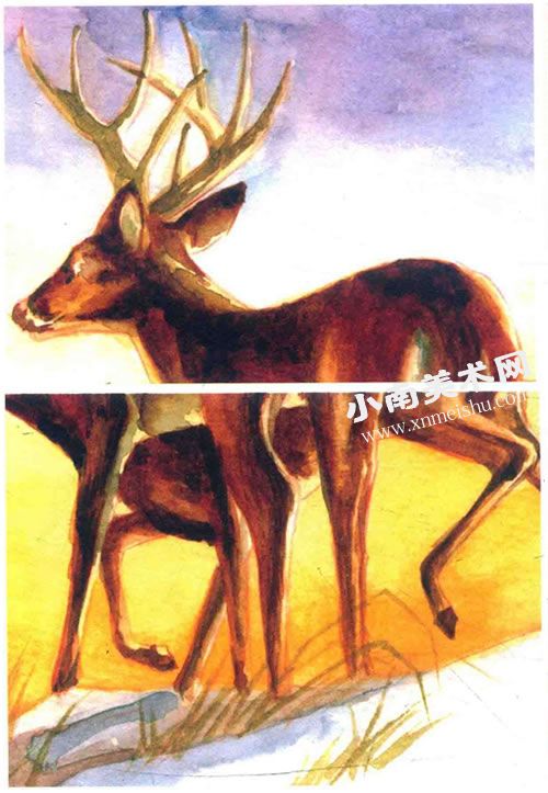夕阳下的麋鹿水彩画绘制步骤图示08