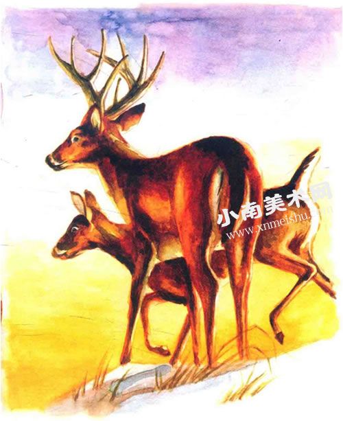 夕阳下的麋鹿水彩画绘制步骤图示10