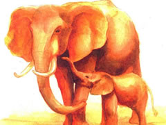 亲密的大象水彩画绘制步骤图示