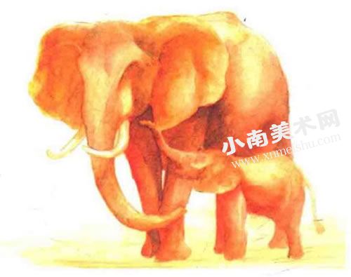 亲密的大象水彩画绘制步骤图示06