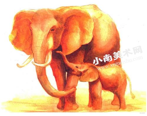 亲密的大象水彩画绘制步骤图示09