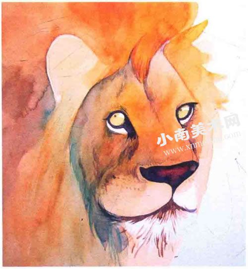 威严的狮子水彩画绘制步骤图示09