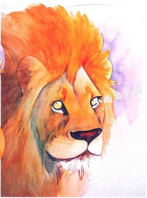 威严的狮子水彩画绘制步骤图示11