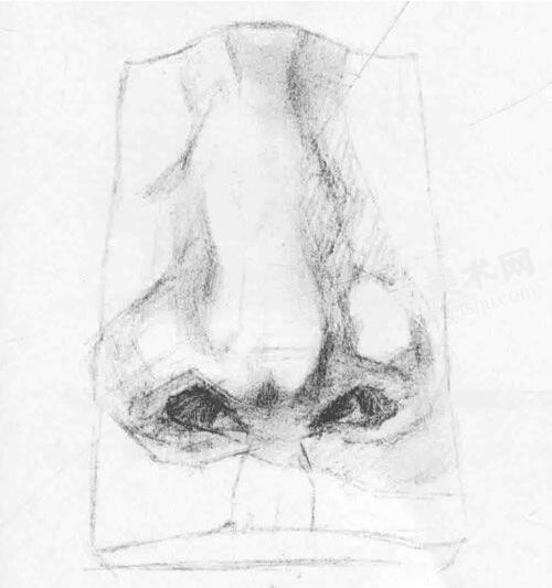 石膏雕塑人物鼻子素描画法绘制步骤图示02