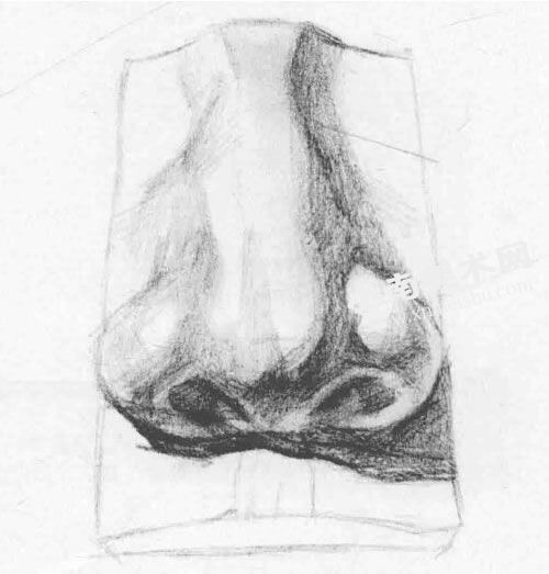 石膏雕塑人物鼻子素描画法绘制步骤图示03