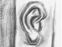 【石膏素描】石膏雕塑人物耳朵素描画法绘制步骤图示