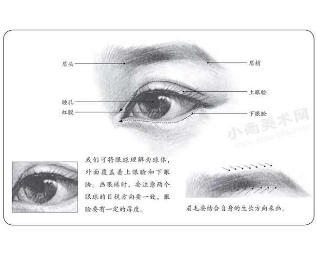 眉毛和眼睛的素描画法步骤图示