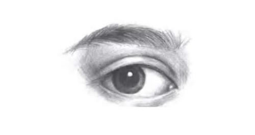 眉毛和眼睛的素描画法步骤图示05