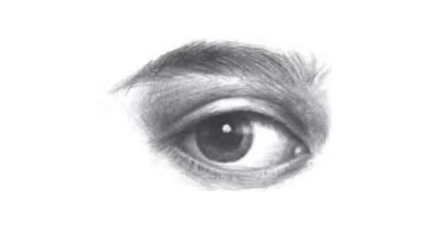 眉毛和眼睛的素描画法步骤图示06