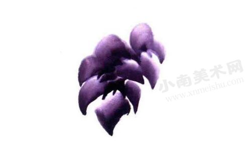 紫牡丹的画法步骤图示02