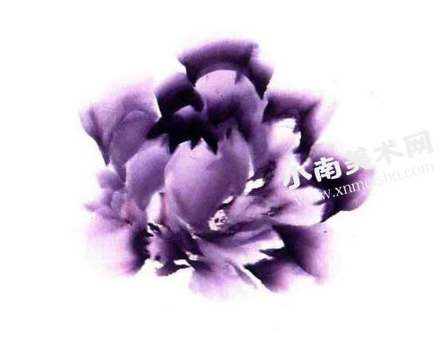 紫牡丹的画法步骤图示04