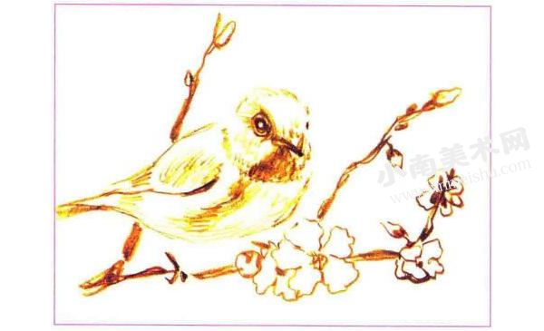 小鸟与桃花彩色铅笔画创作步骤图示01
