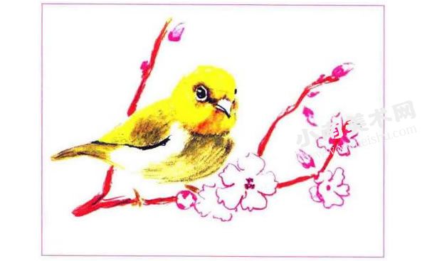 小鸟与桃花彩色铅笔画创作步骤图示02