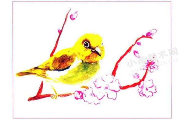 小鸟与桃花彩色铅笔画创作步骤图示03