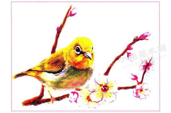 小鸟与桃花彩色铅笔画创作步骤图示04