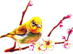 小鸟与桃花彩色铅笔画创作步骤图示
