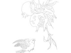 石榴和鸟的组合白描画法步骤图示