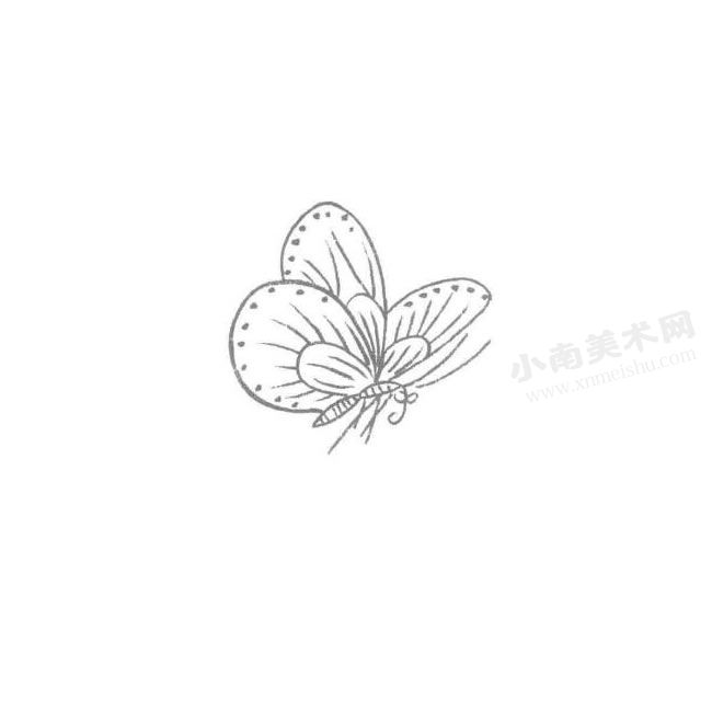 蝴蝶的白描画法作品高清大图04