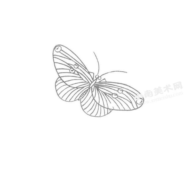 蝴蝶的白描画法作品高清大图06