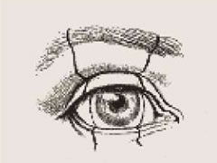 人物速写眼睛的结构与表现要点