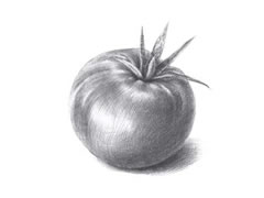 【果蔬素描】番茄的素描画法步骤图示