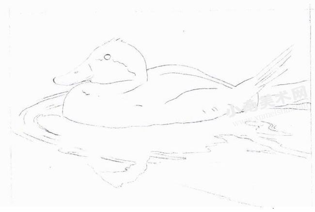 水中的红鸭丙烯画绘制步骤图示01