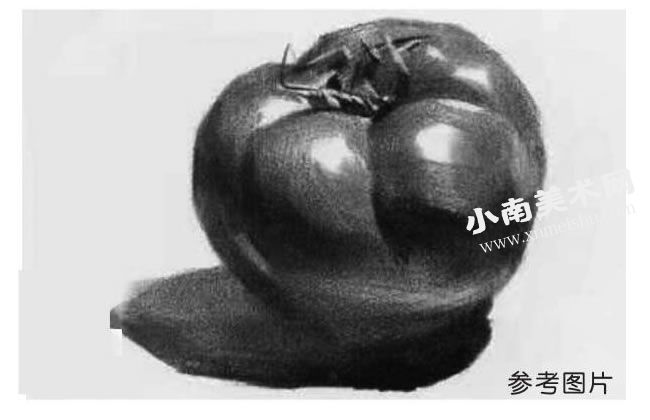 西红柿的素描参考图片