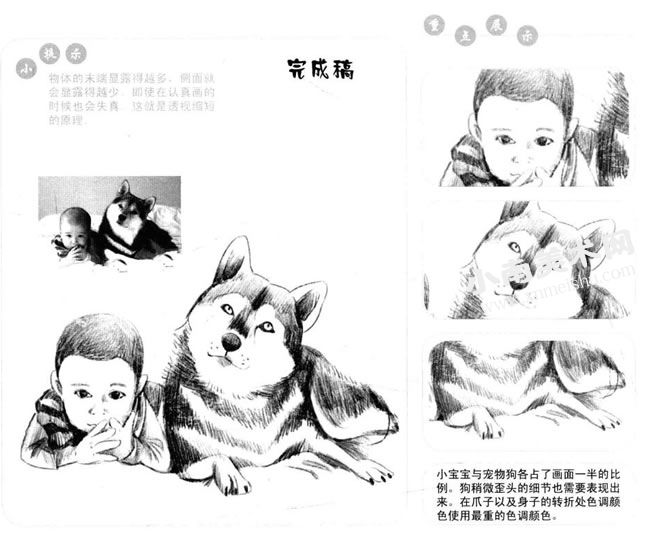 宠物狗和小宝宝素描画法步骤图示