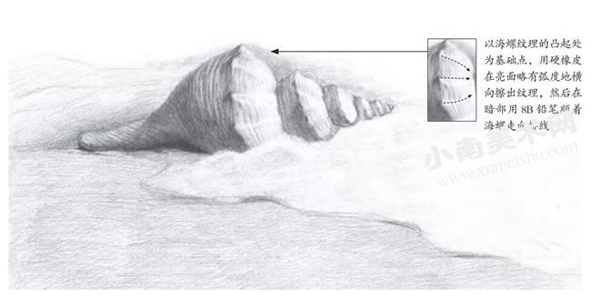 沙滩上的海螺素描画法步骤图示05
