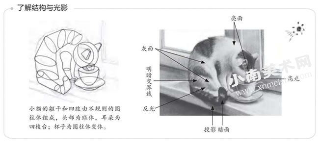 喝水的小猫素描画法步骤图示