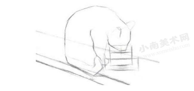 喝水的小猫素描画法步骤图示01