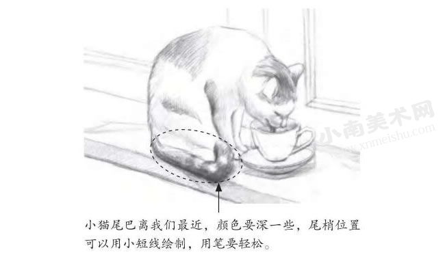 喝水的小猫素描画法步骤图示04
