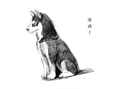 【动物素描】哈士奇犬素描画法步骤图示