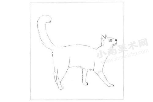 巴厘猫的素描画法步骤图示01