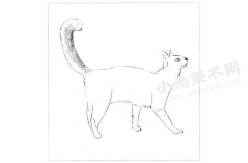 巴厘猫的素描画法步骤图示02