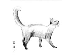 【动物素描】巴厘猫的素描画法步骤图示
